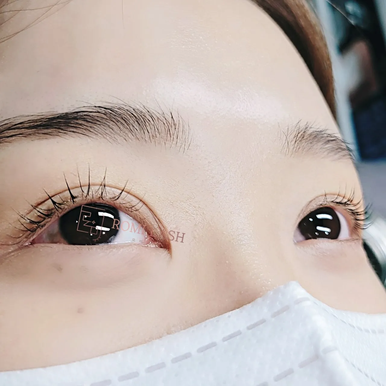 이미지 5