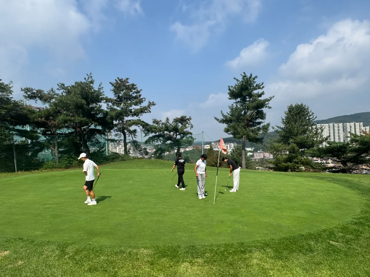 이미지 6