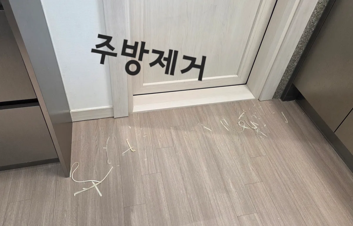 이미지 12