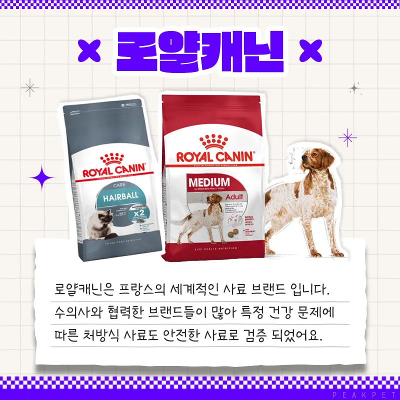 이미지 6