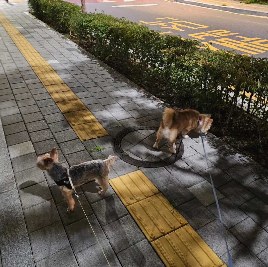 이미지 7