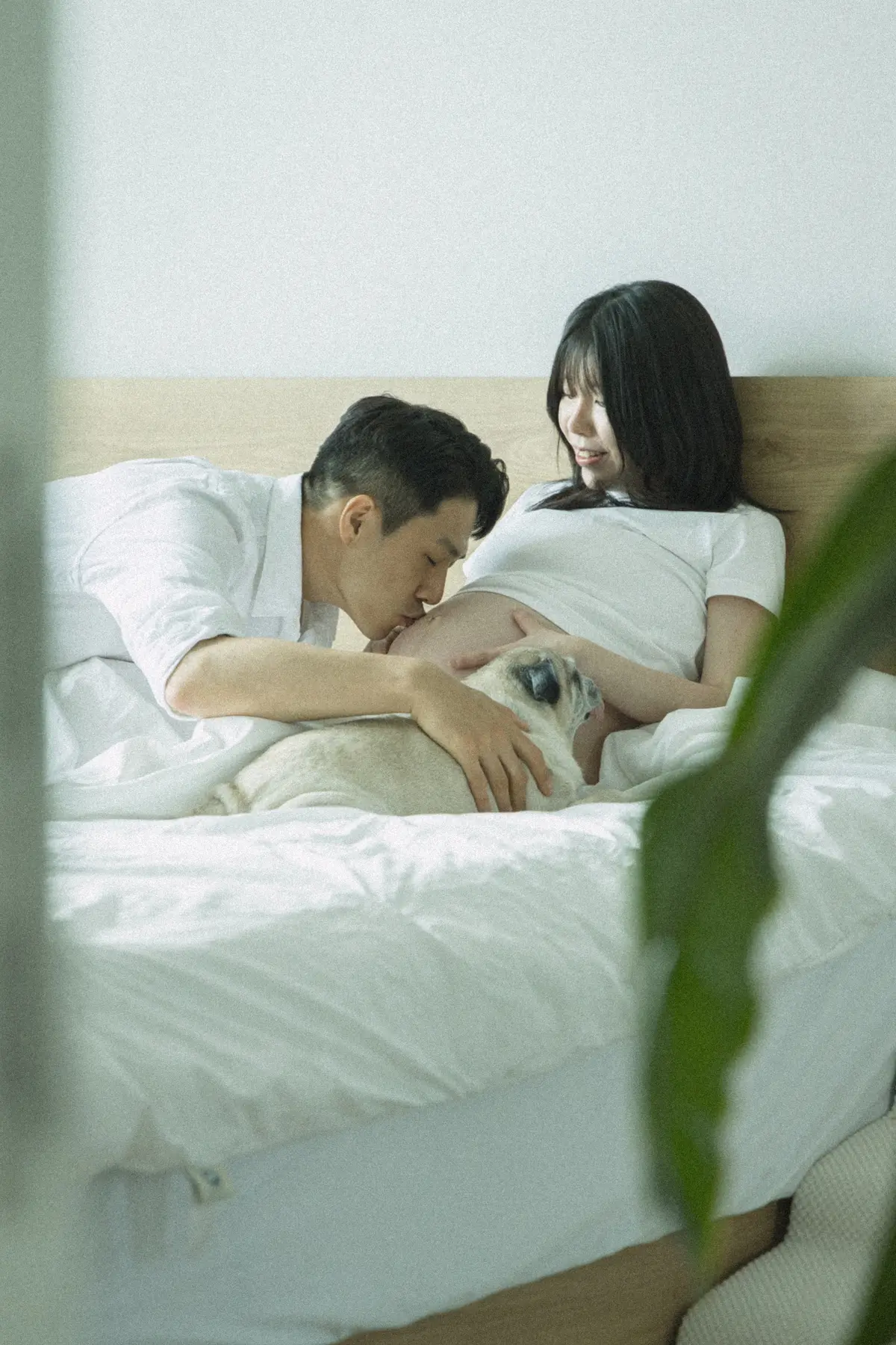 이미지 18