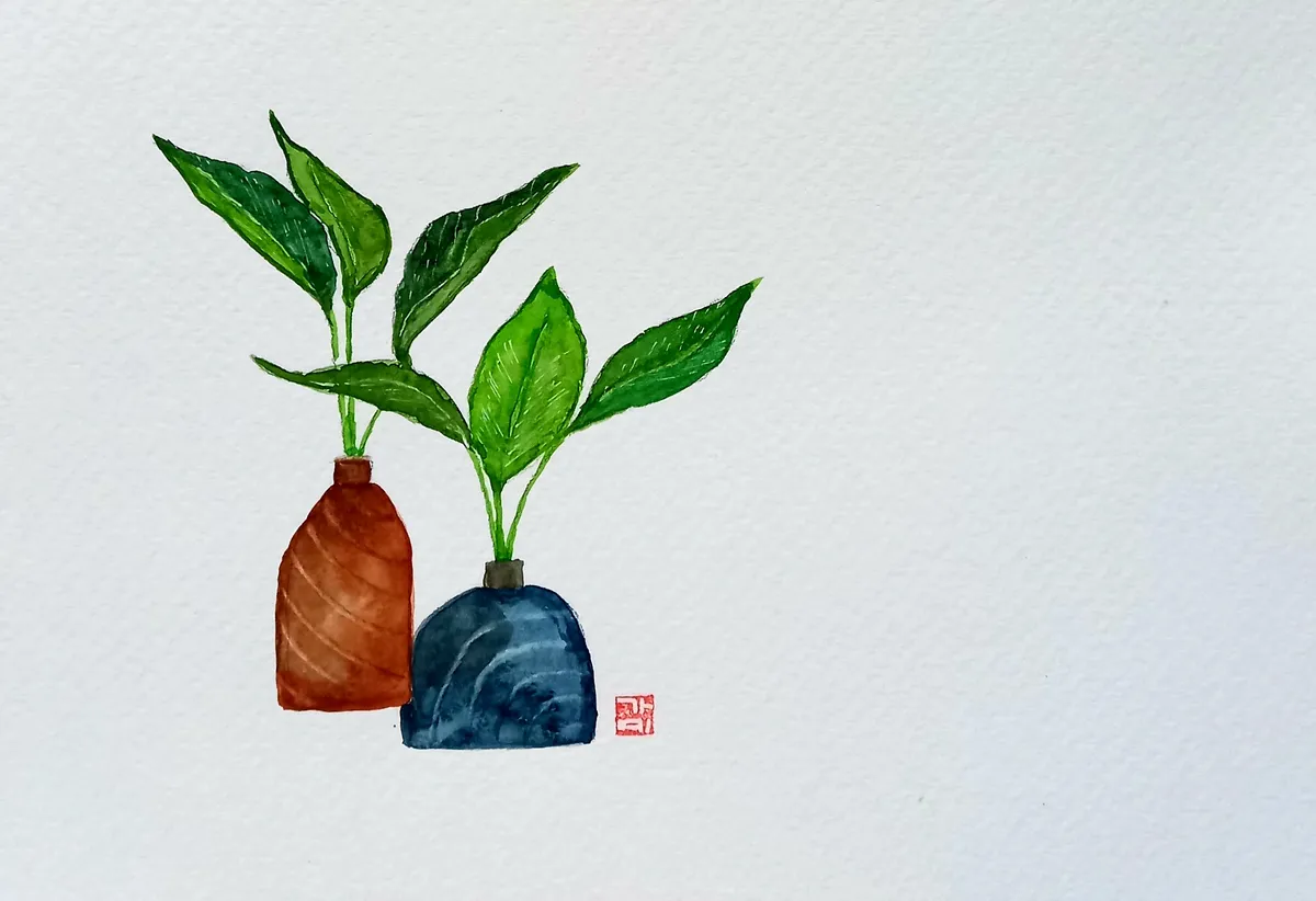 이미지 5