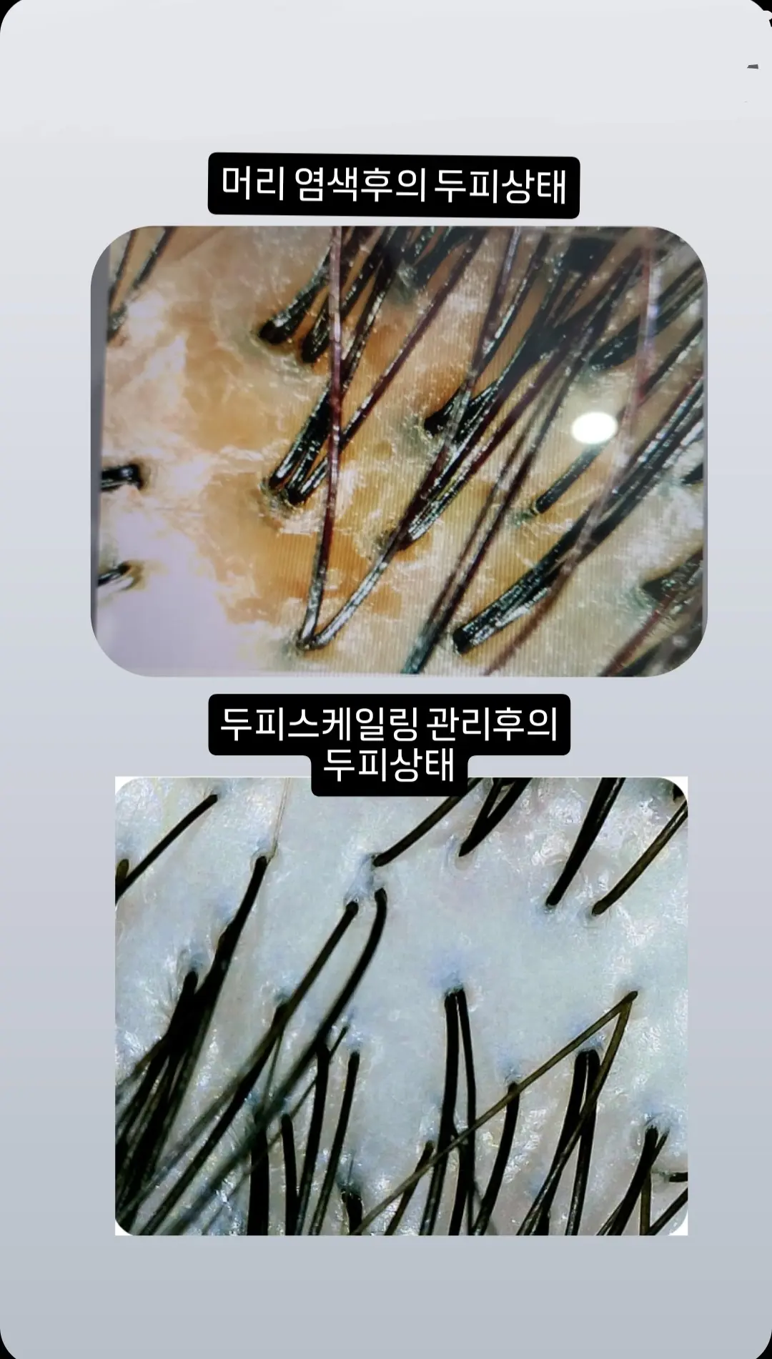 이미지 8