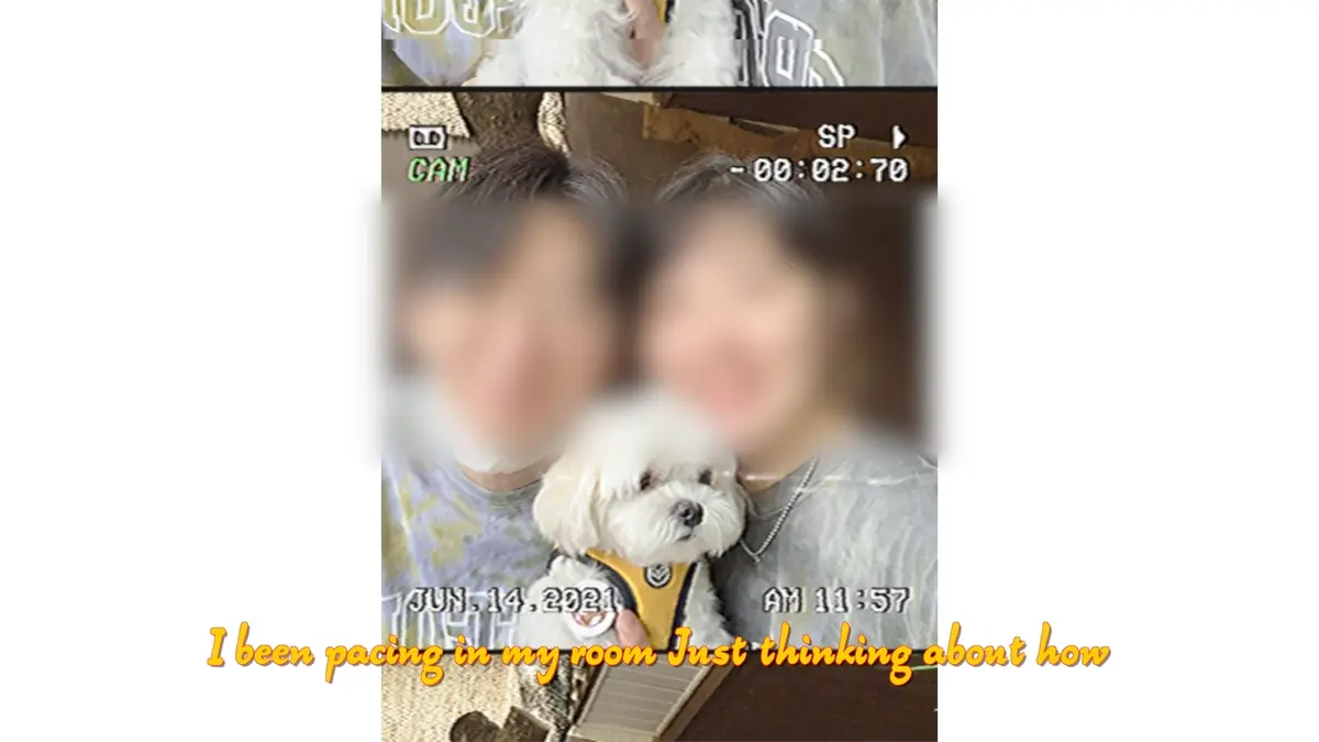 이미지 10