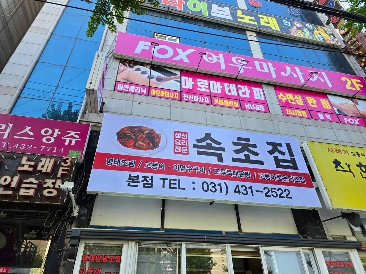 이미지 5