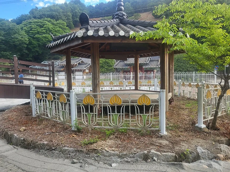이미지 8