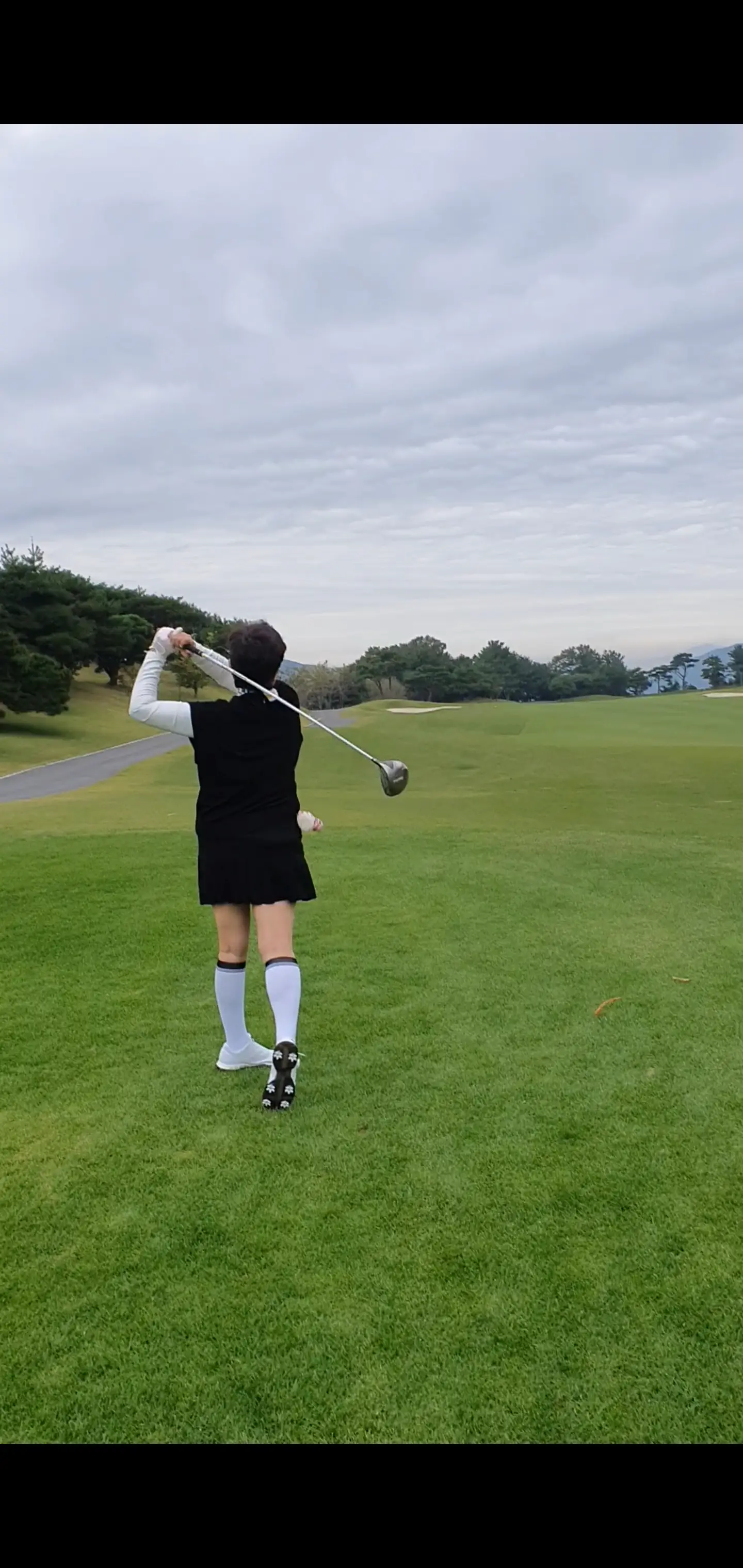 이미지 5