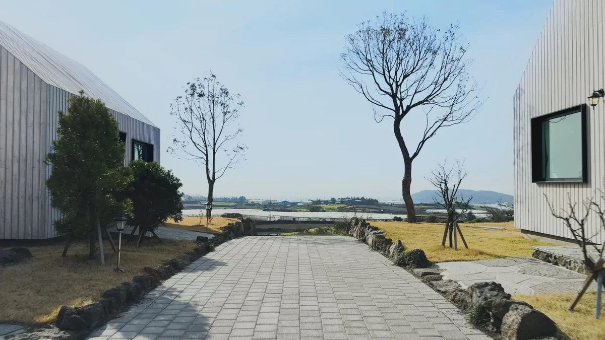 이미지 4