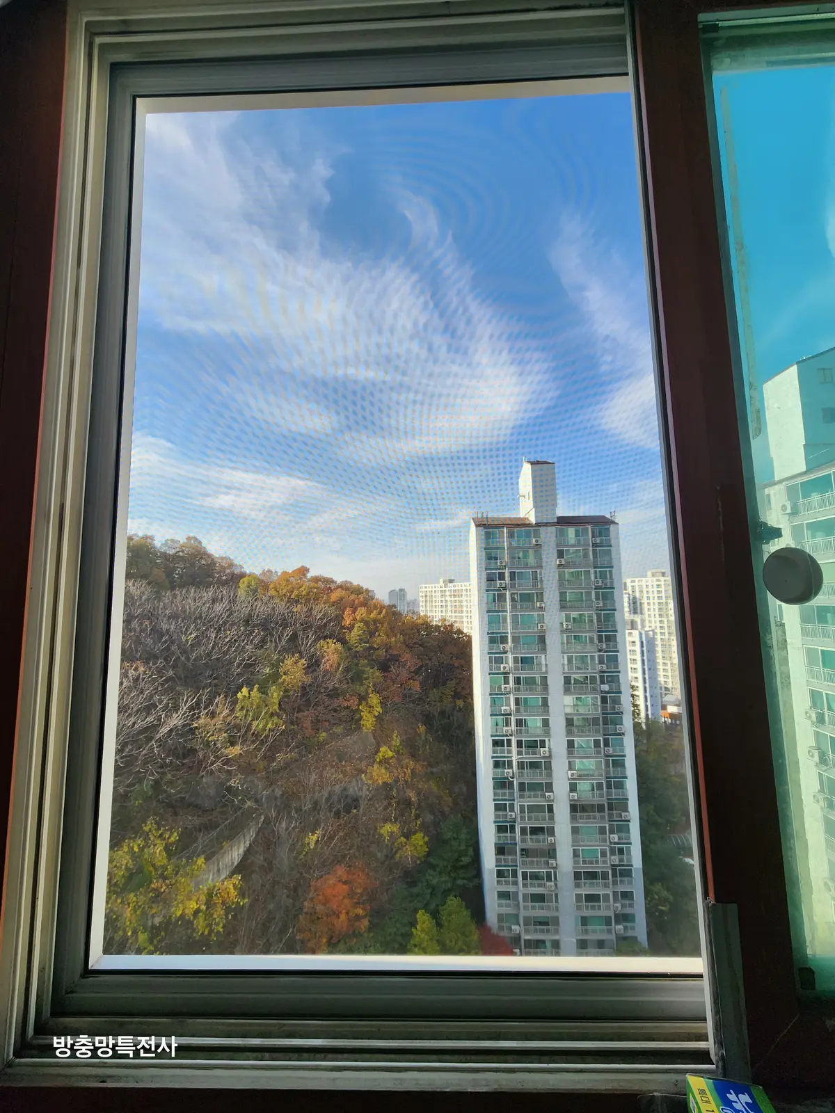 이미지 26