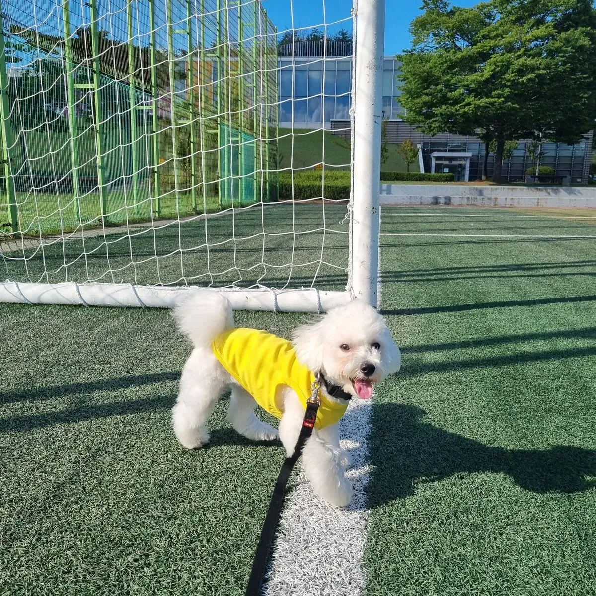 이미지 4