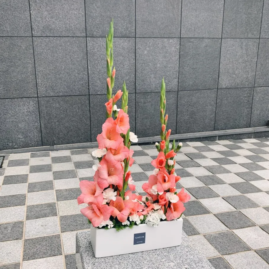 이미지 4