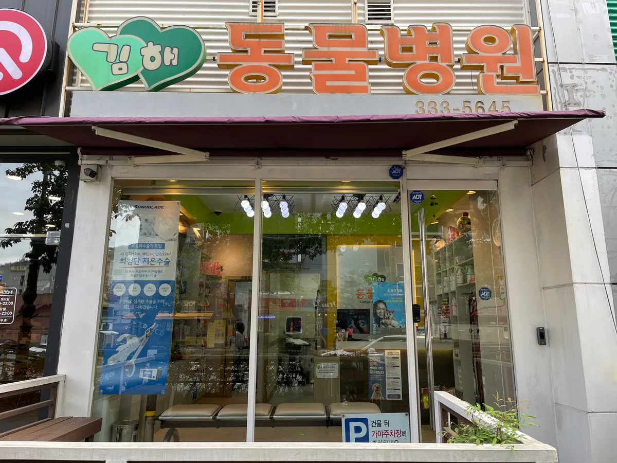 이미지 4