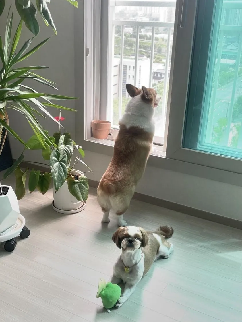 이미지 3