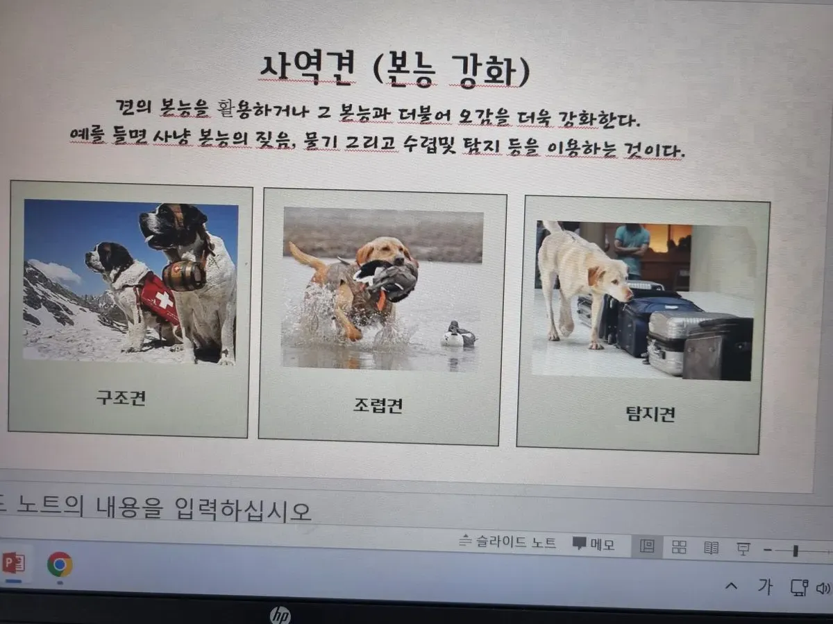 이미지 5