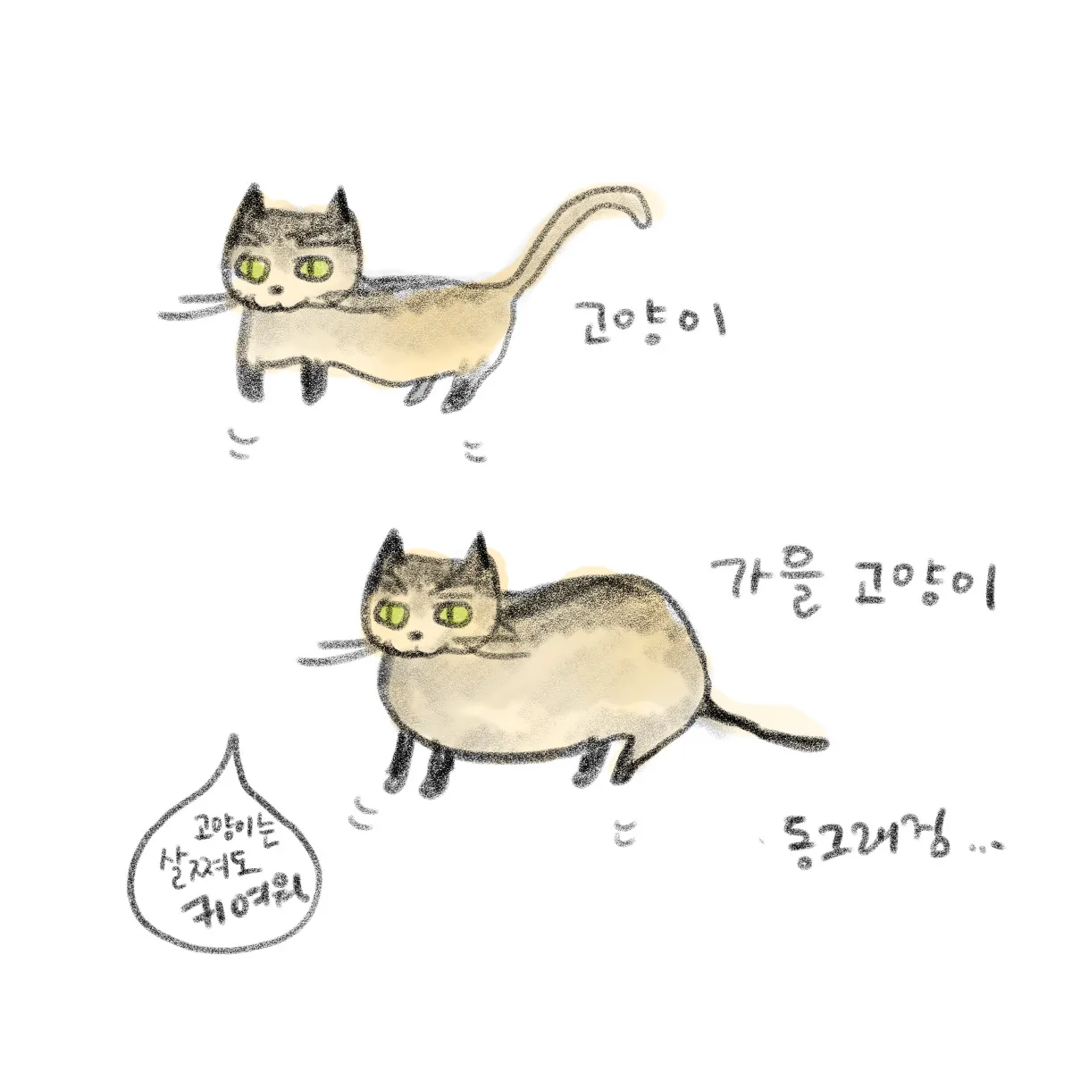 이미지 7