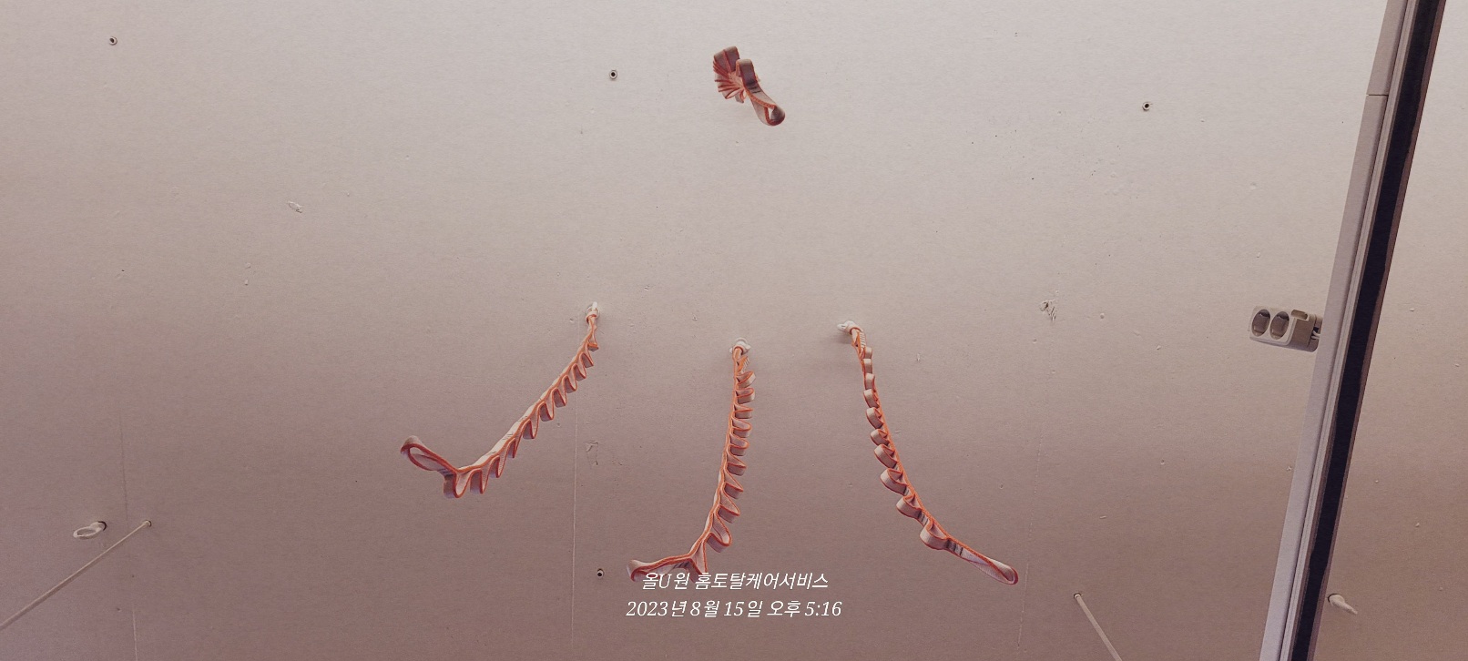이미지 4