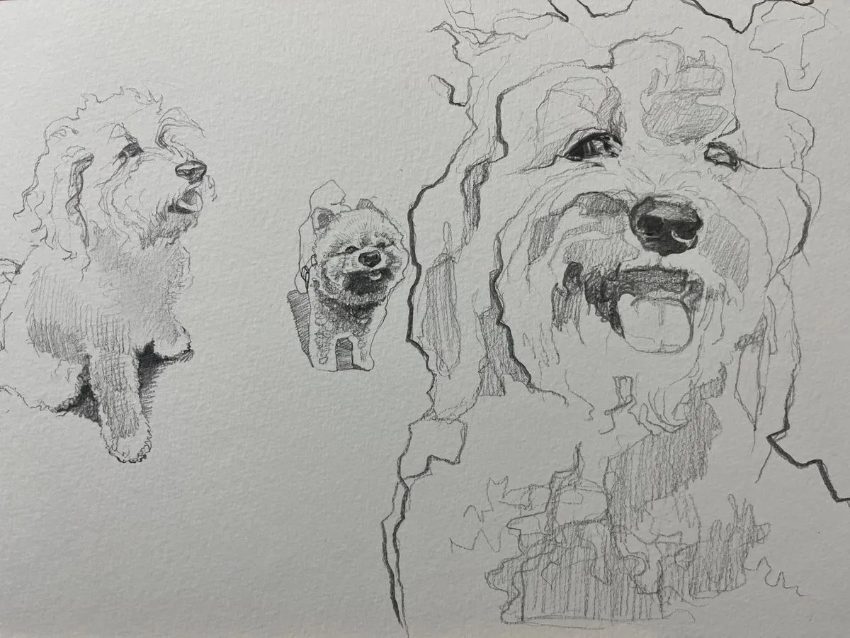 포트폴리오 이미지