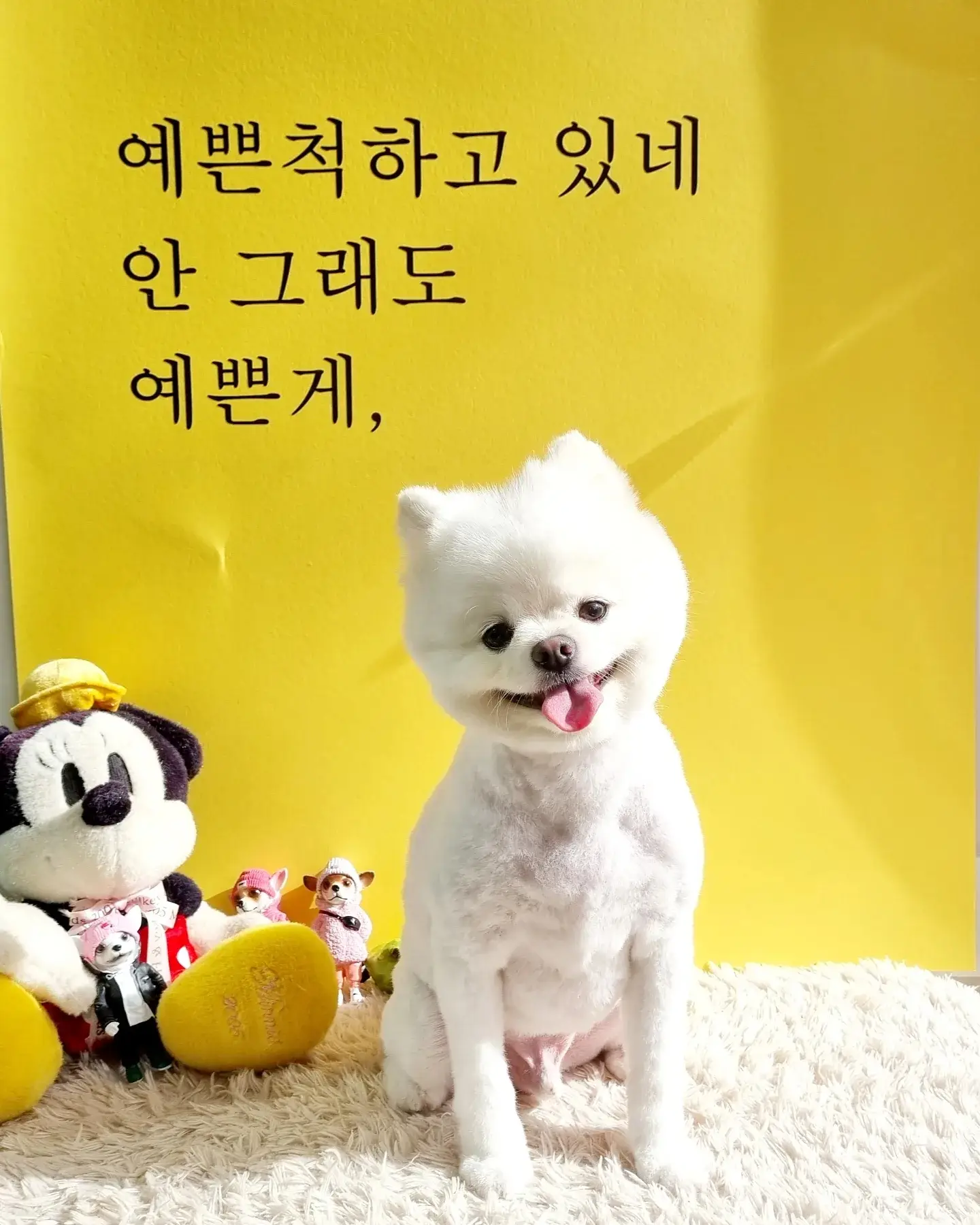 이미지 5