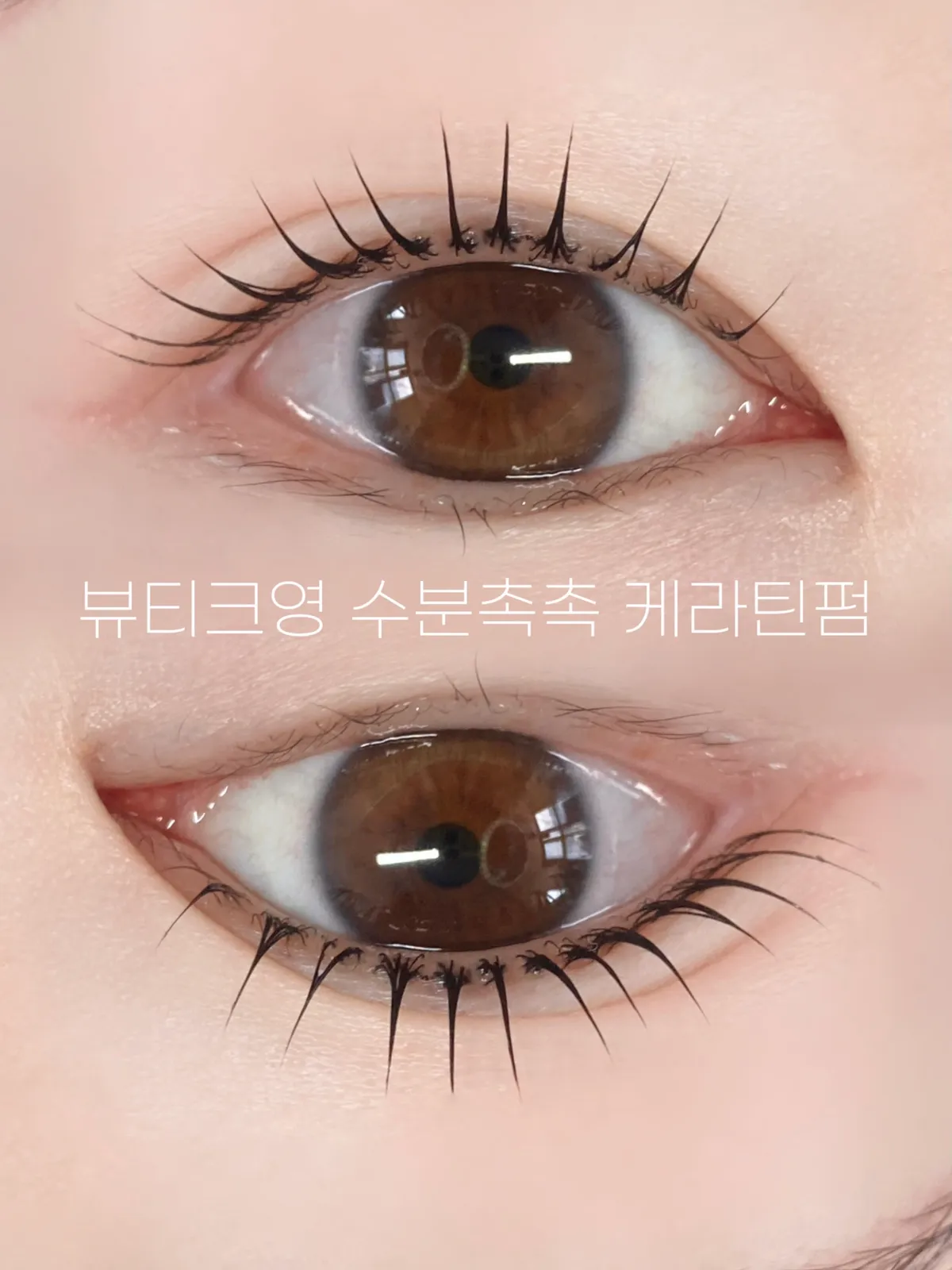 이미지 4