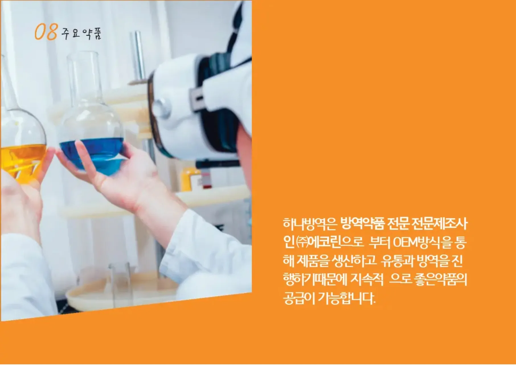 이미지 12