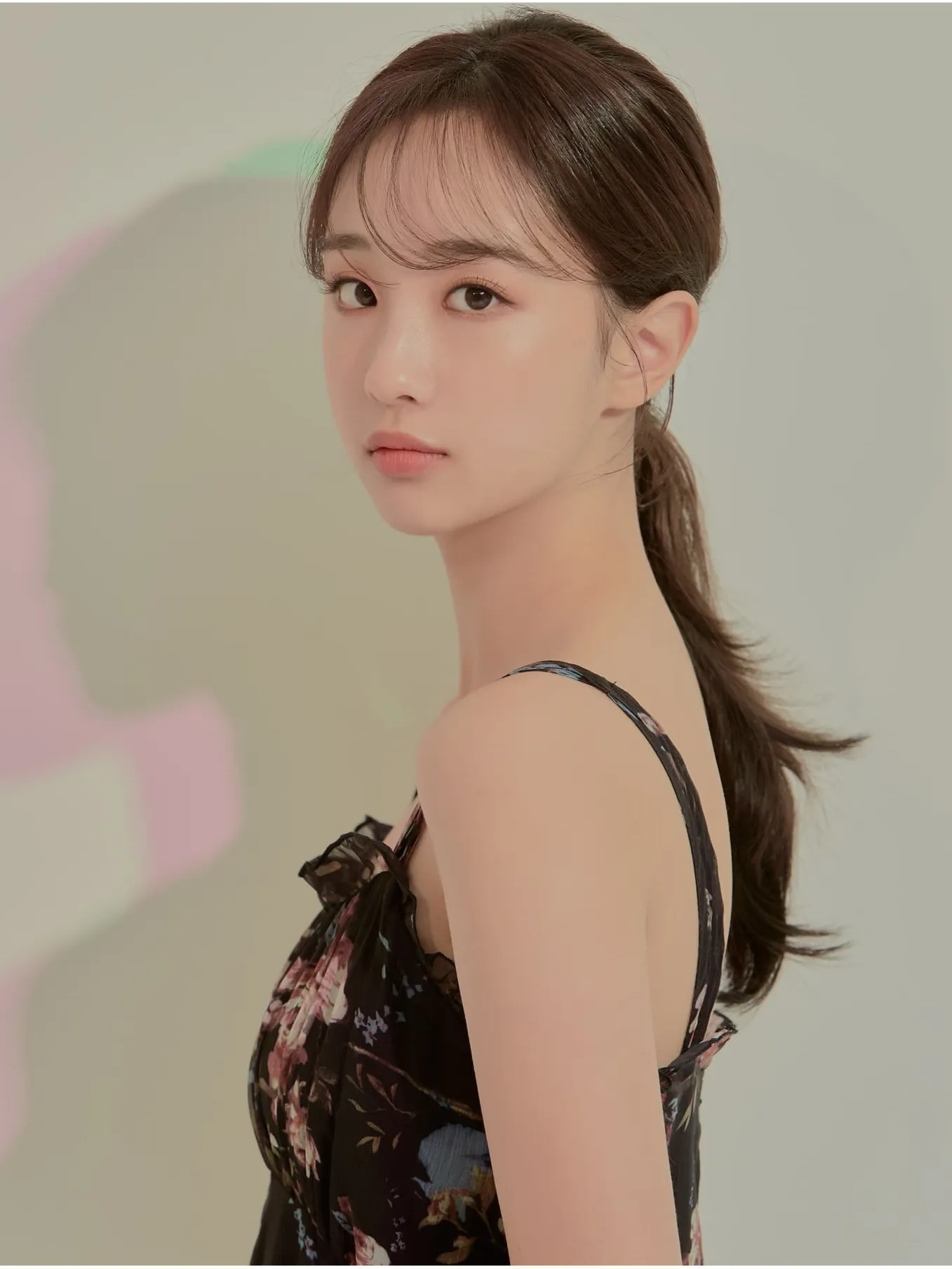 이미지 12