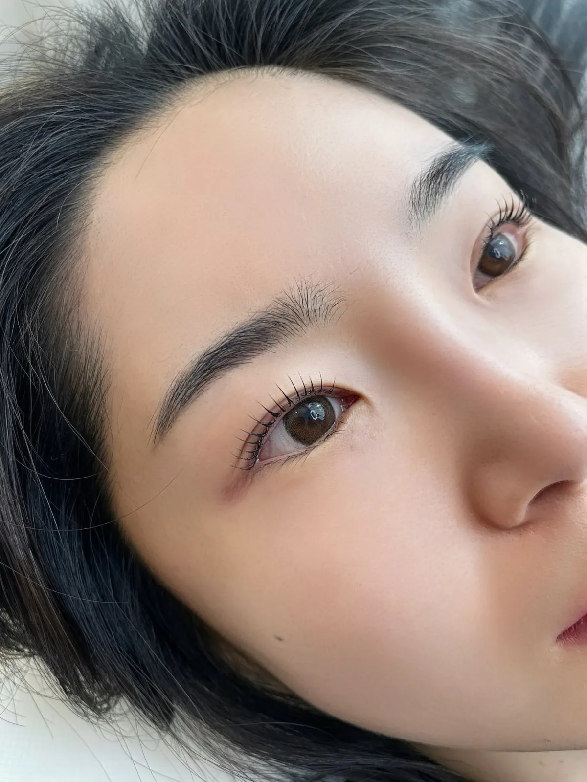 이미지 5
