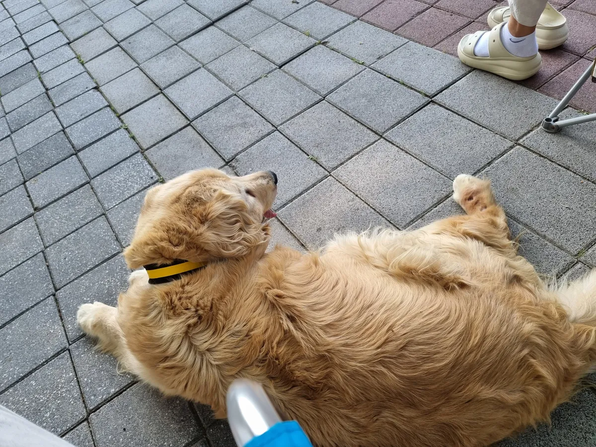 이미지 5
