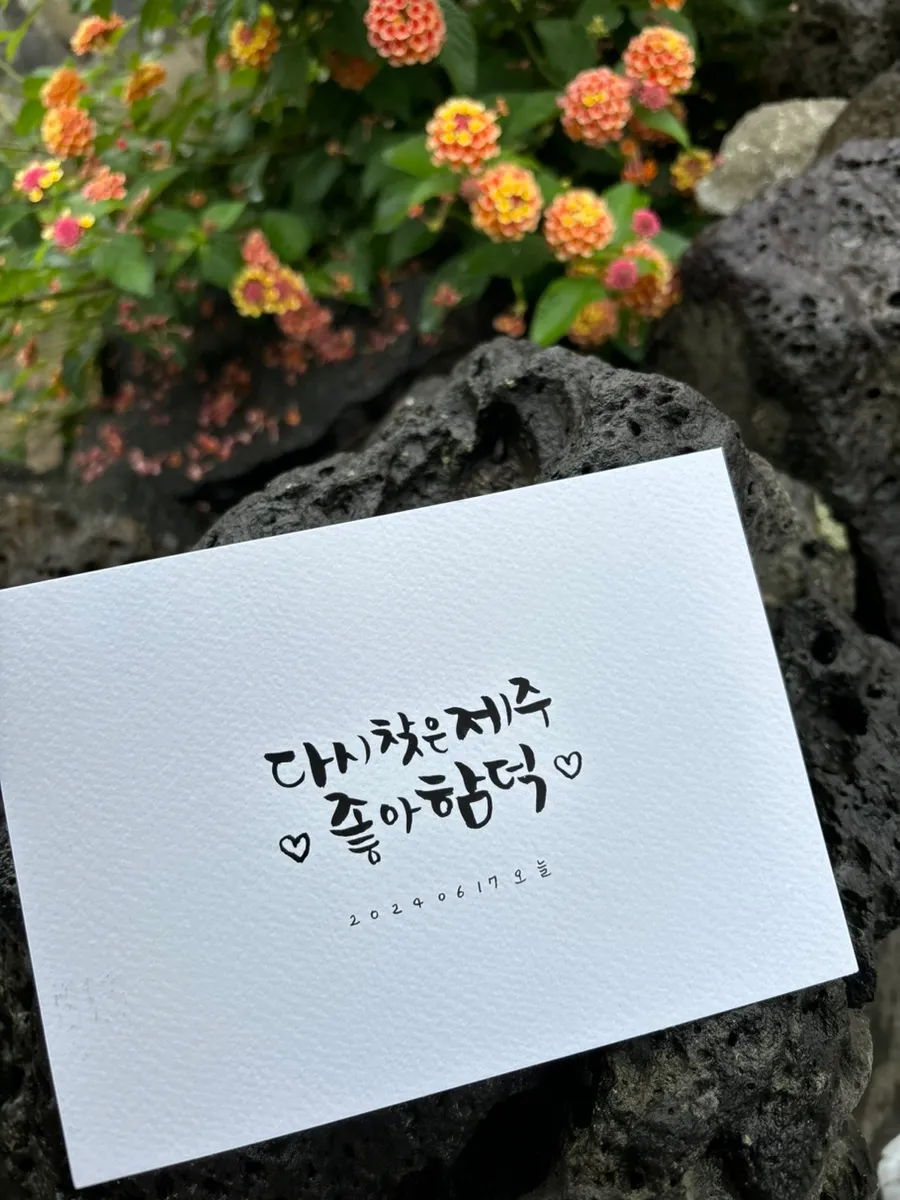 이미지 16