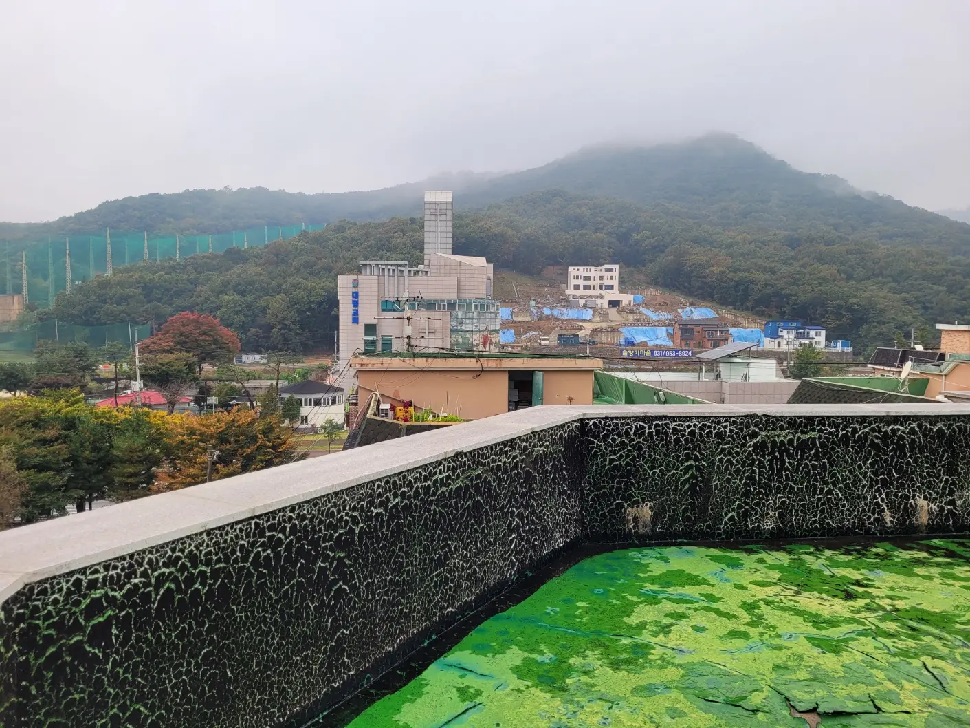 이미지 6