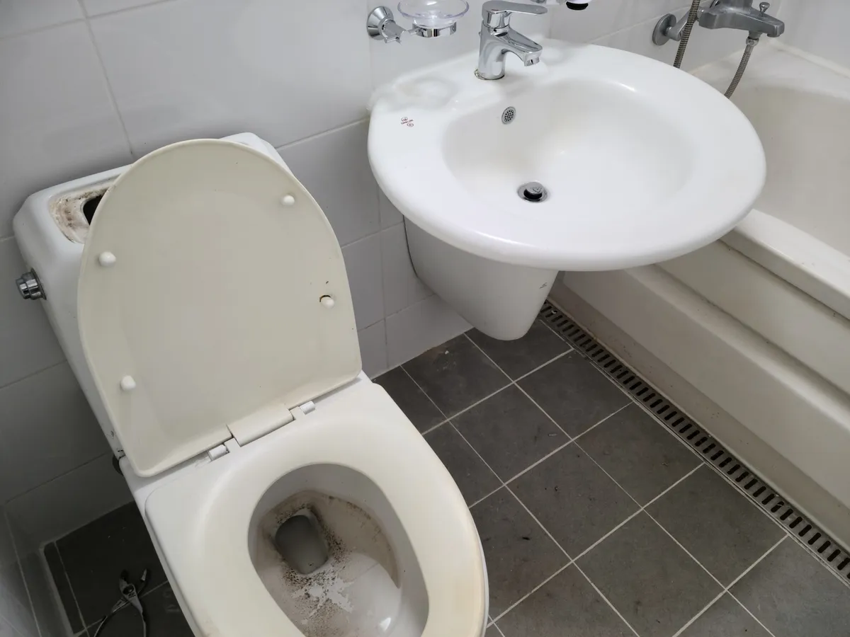 이미지 2