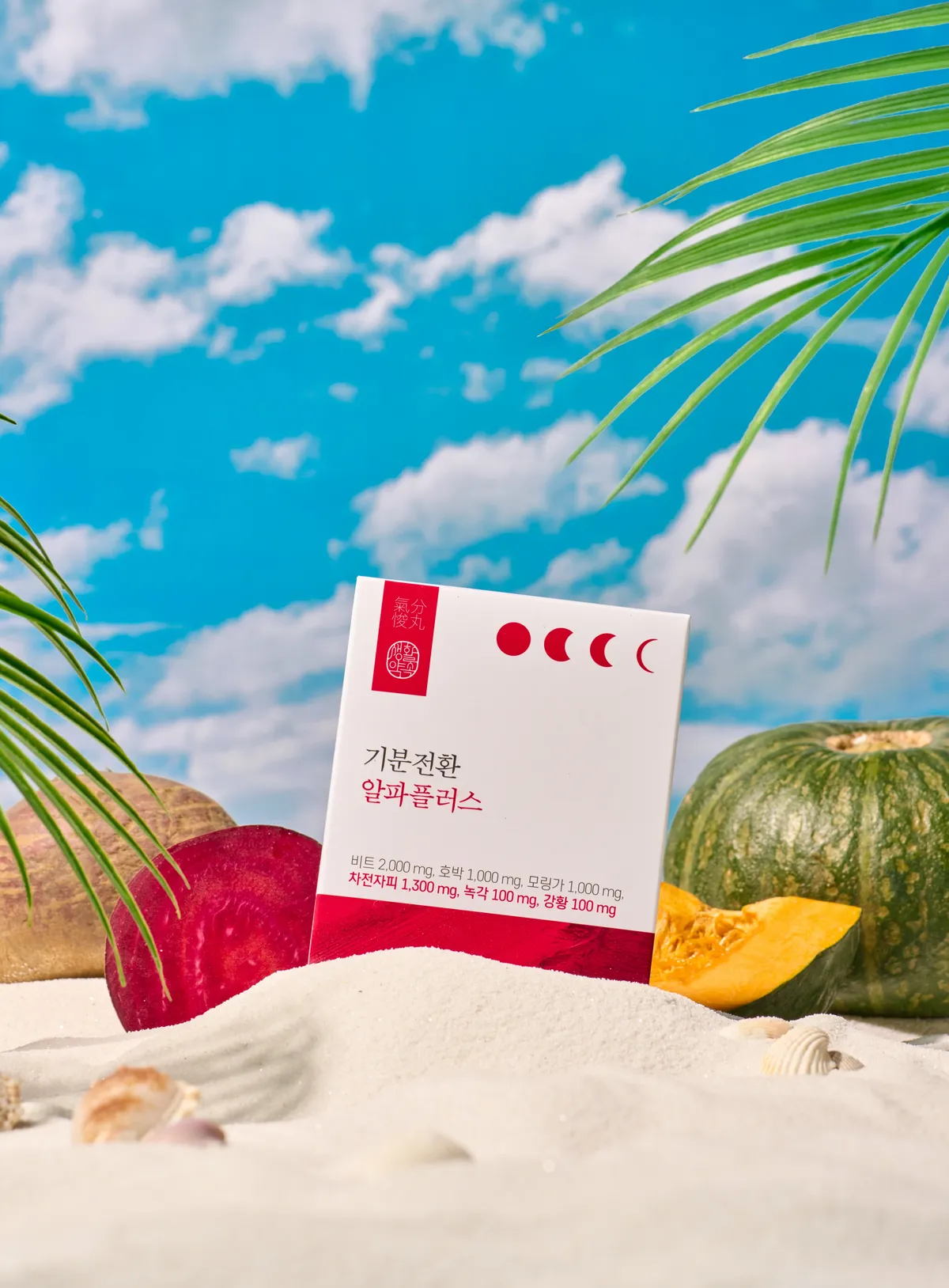 이미지 5