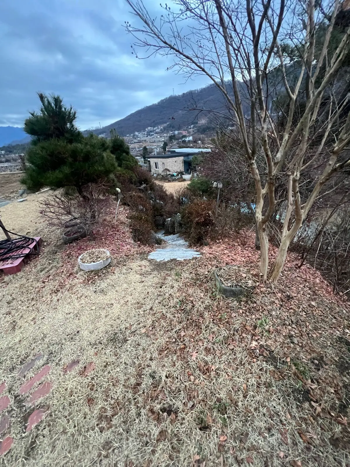 이미지 6