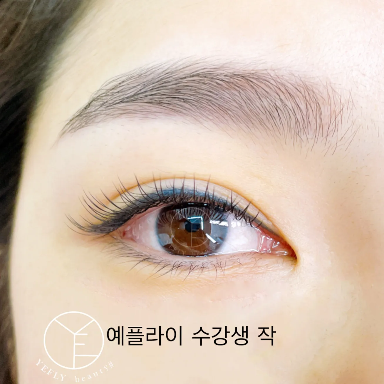 이미지 9