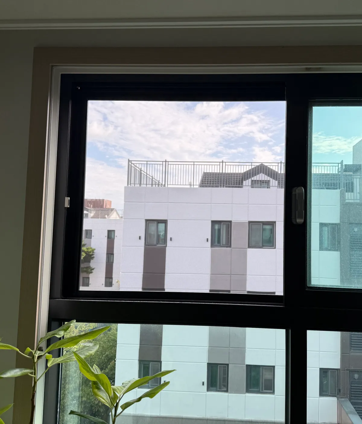 이미지 12