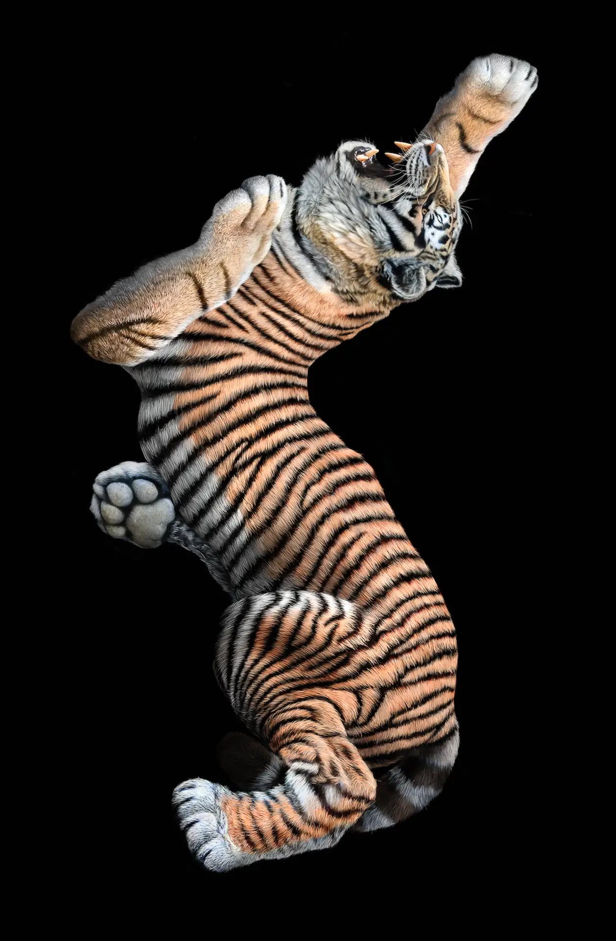 이미지 8