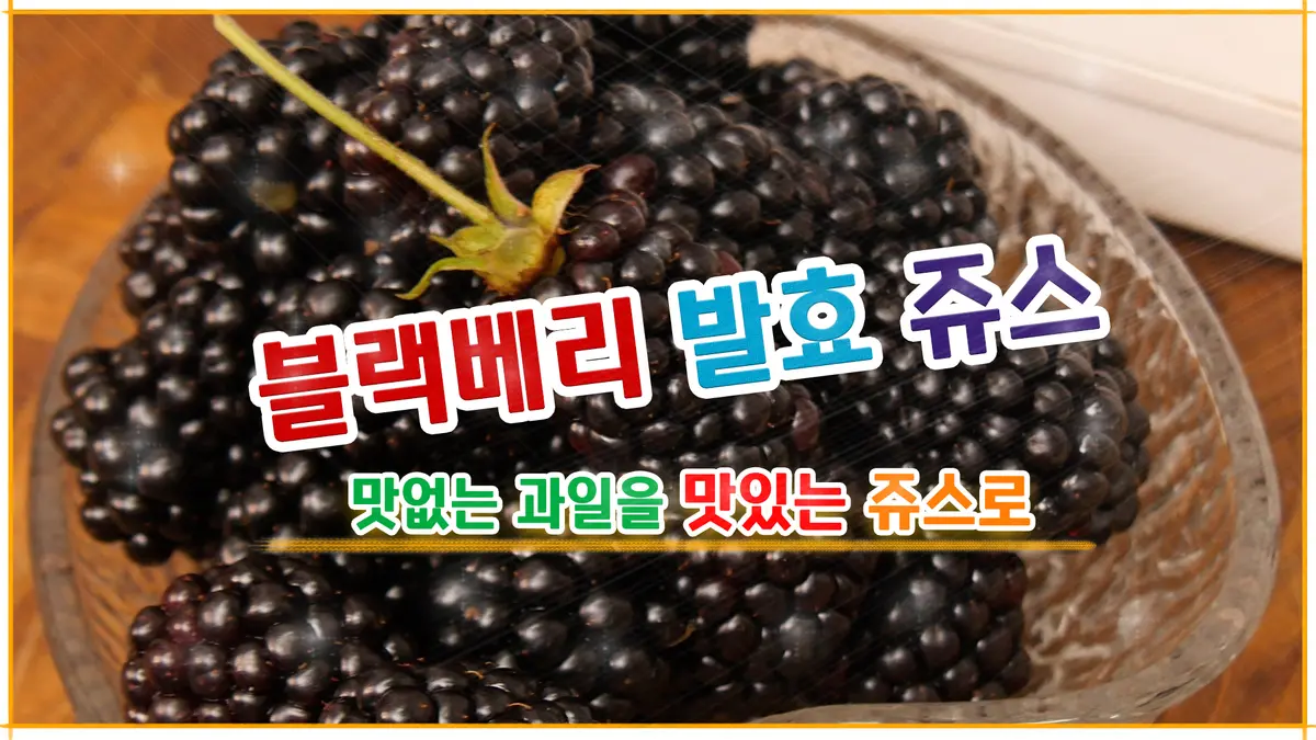 이미지 4