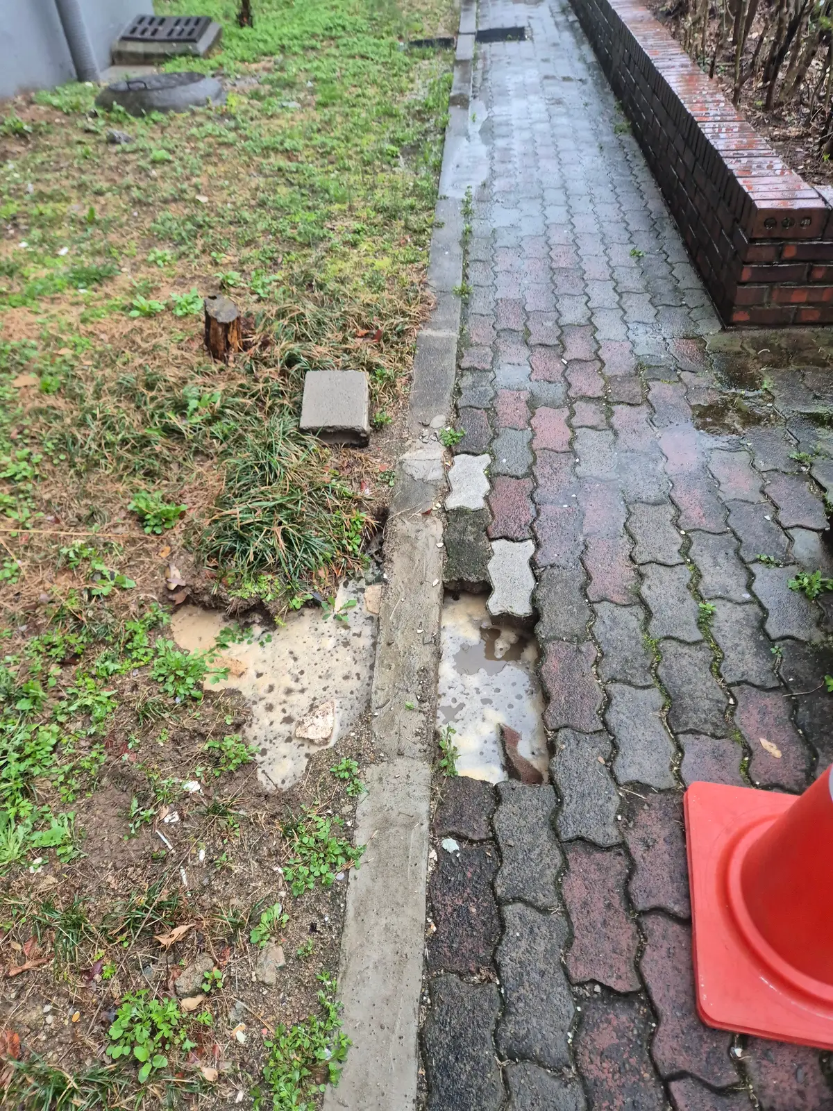 이미지 2