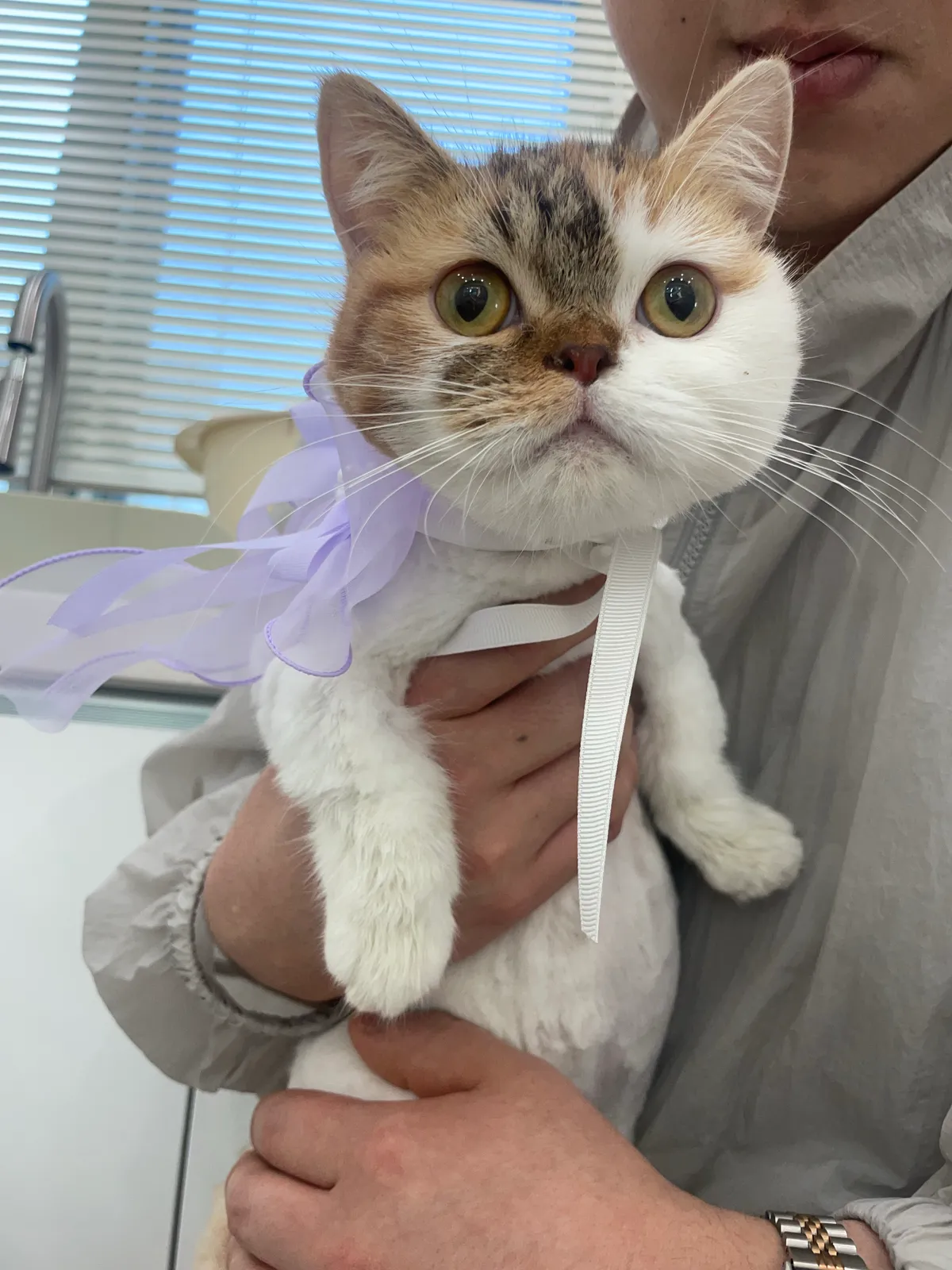 이미지 8