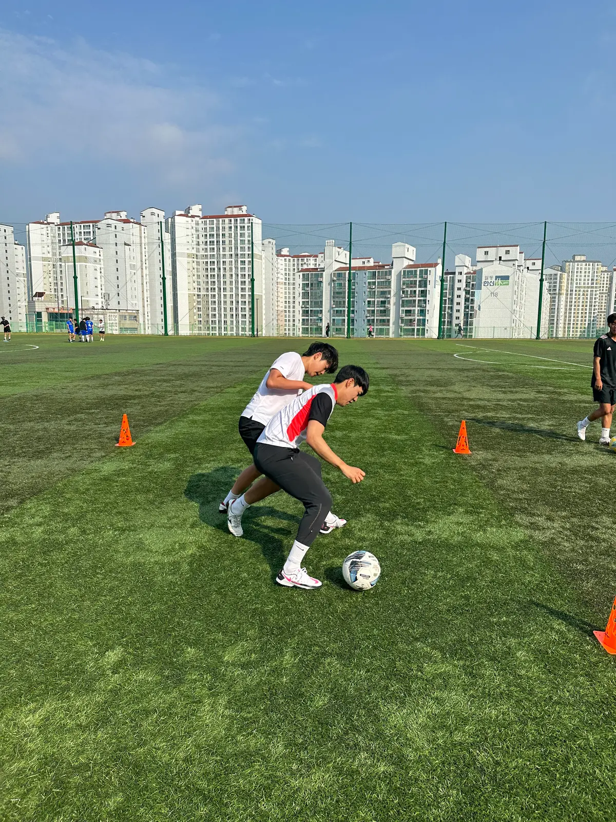 이미지 8