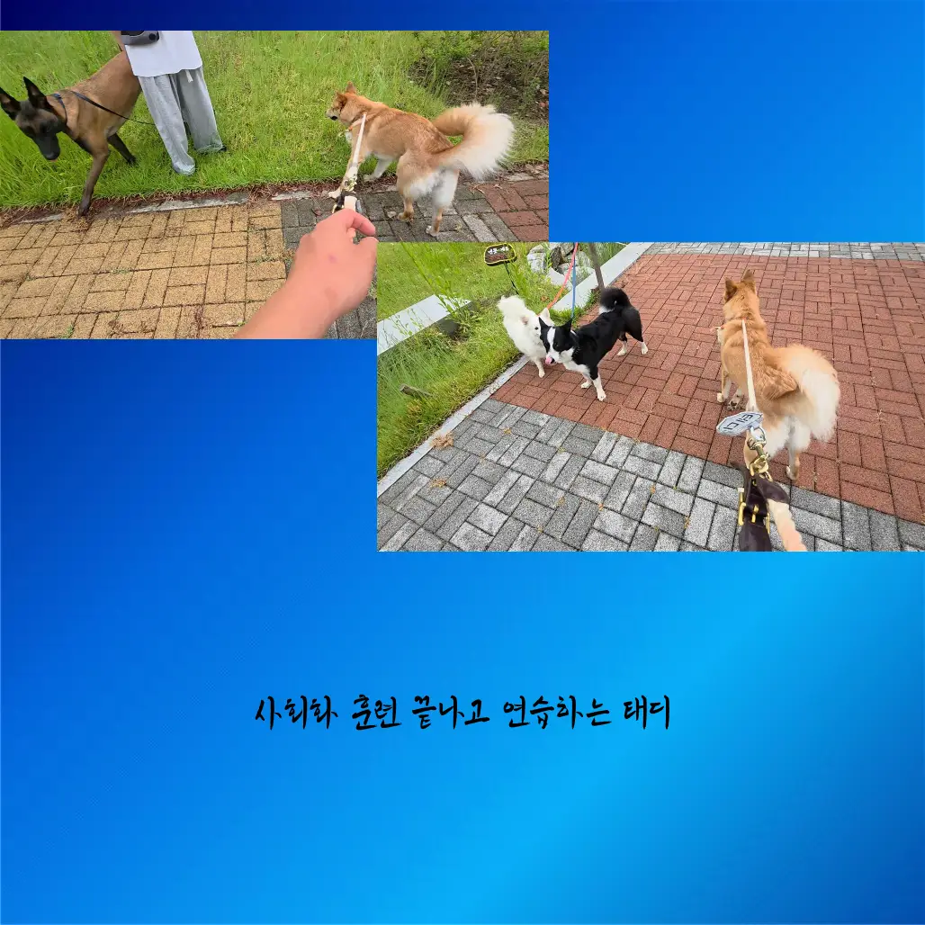 이미지 10