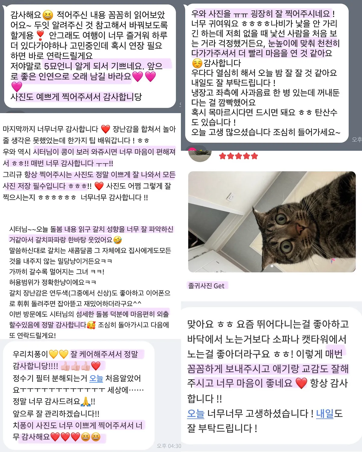 이미지 3