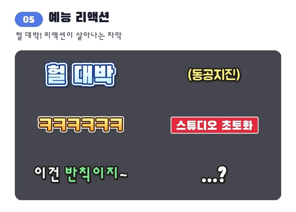 이미지 14
