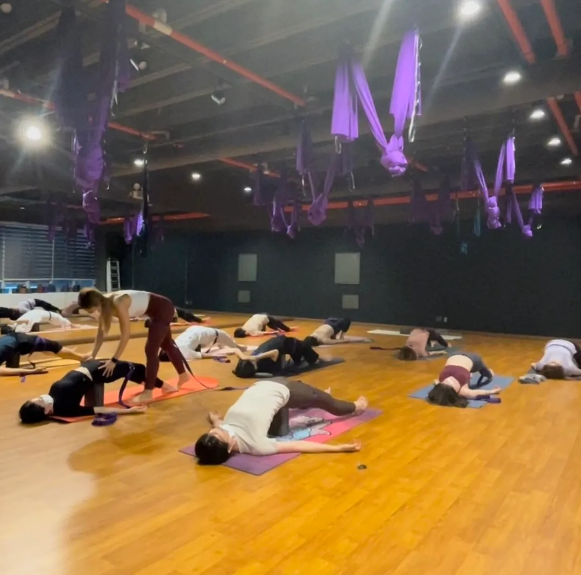 이미지 4