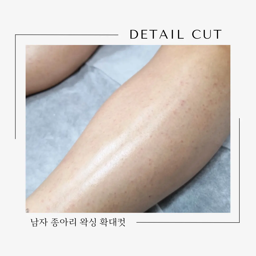 이미지 8