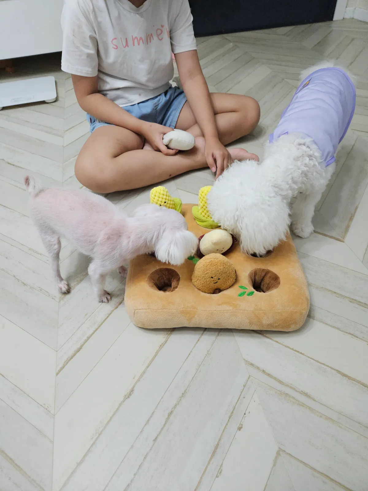 이미지 10