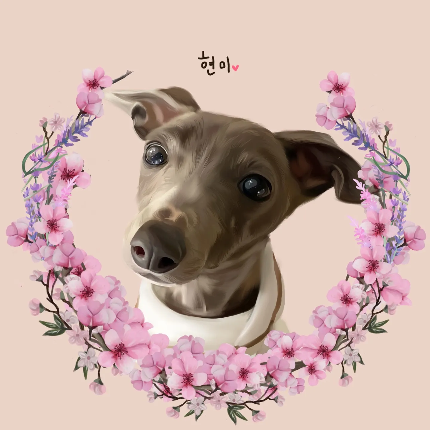 이미지 11