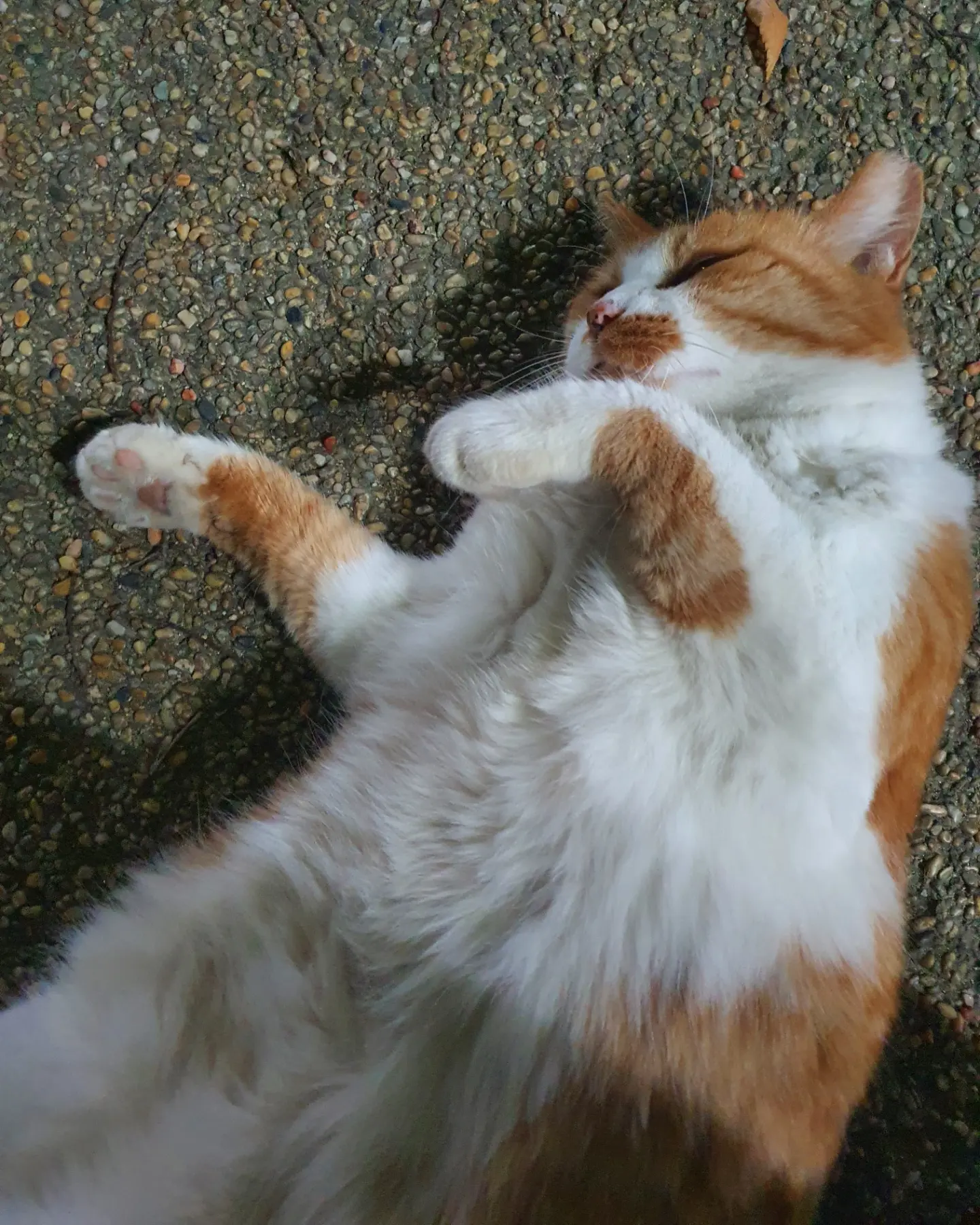 이미지 7