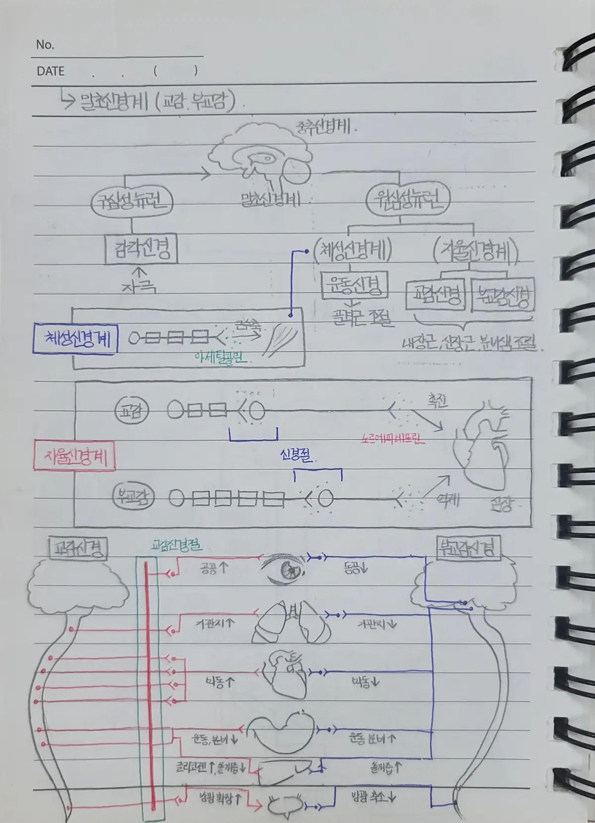 이미지 5