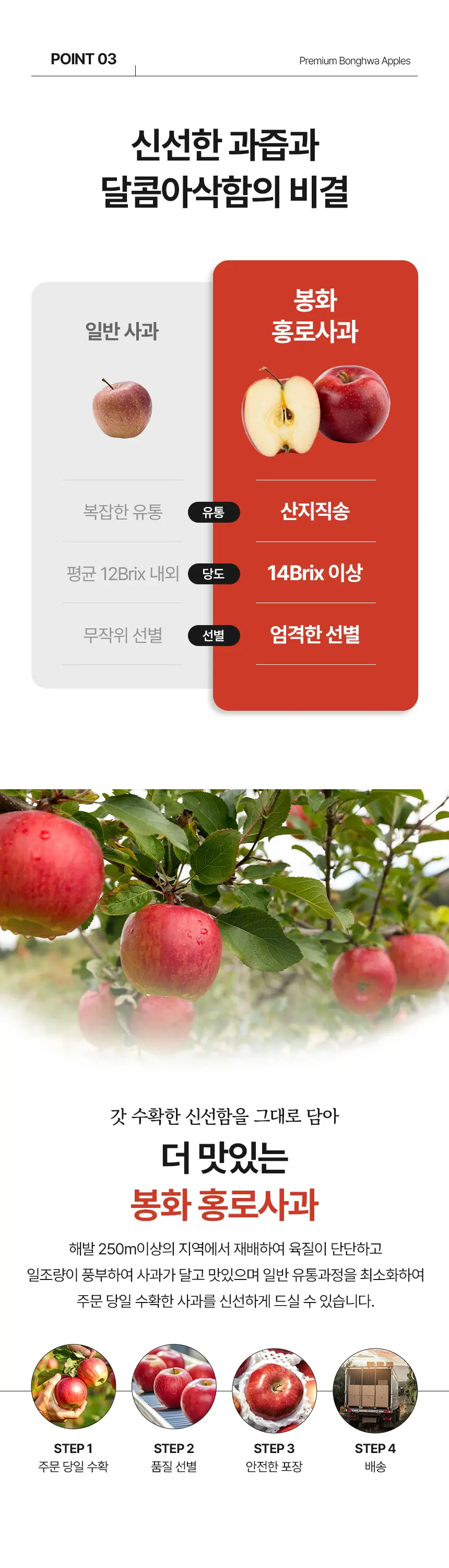 이미지 12